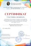 Сертификат участника вебинара Матвиенко Ю. В..jpg
